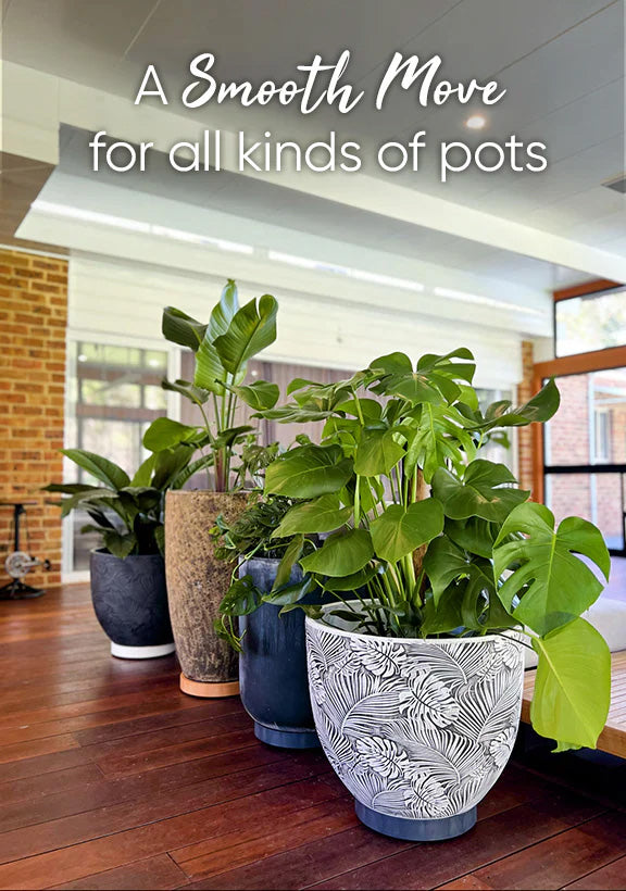 Omnia Plant Glider 300mm