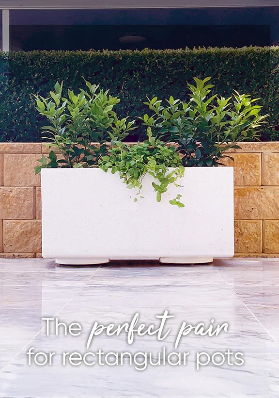 Omnia Plant Glider 300mm