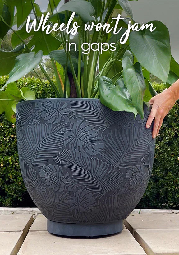 Omnia Plant Glider 300mm