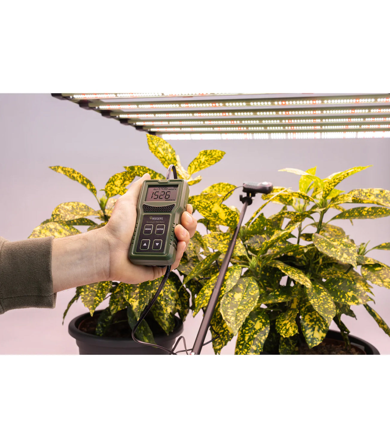 Treegers Par Meter Extendable Wand