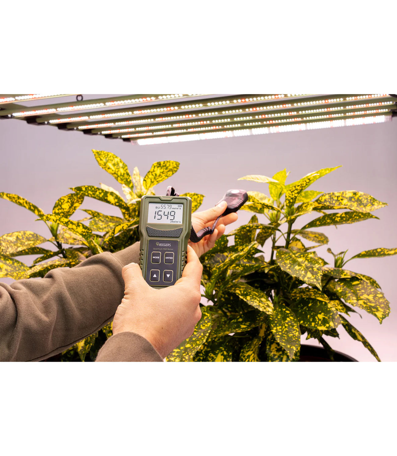 Treegers Quantum Par Meter