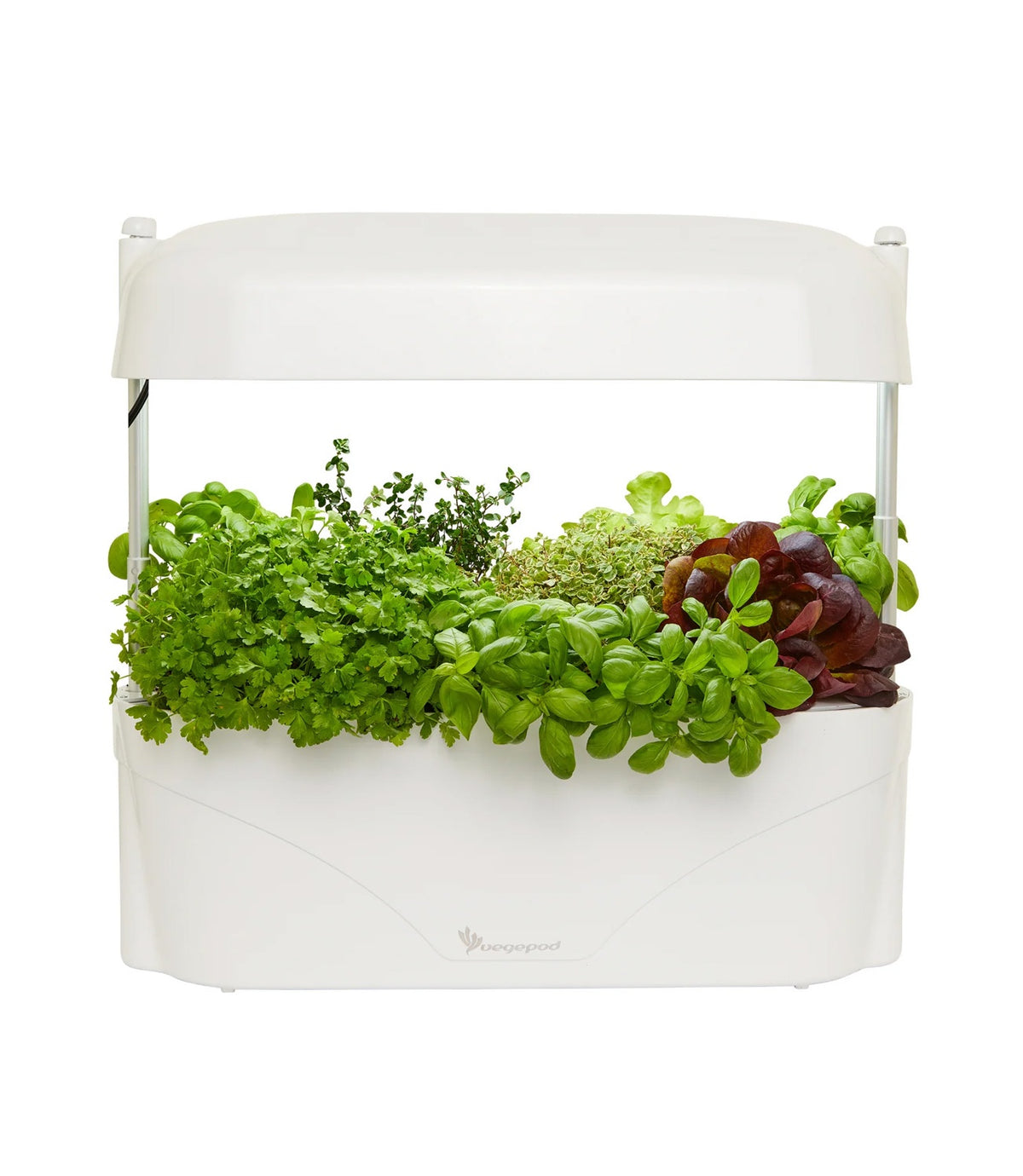 Vegepod Kitchen Garden