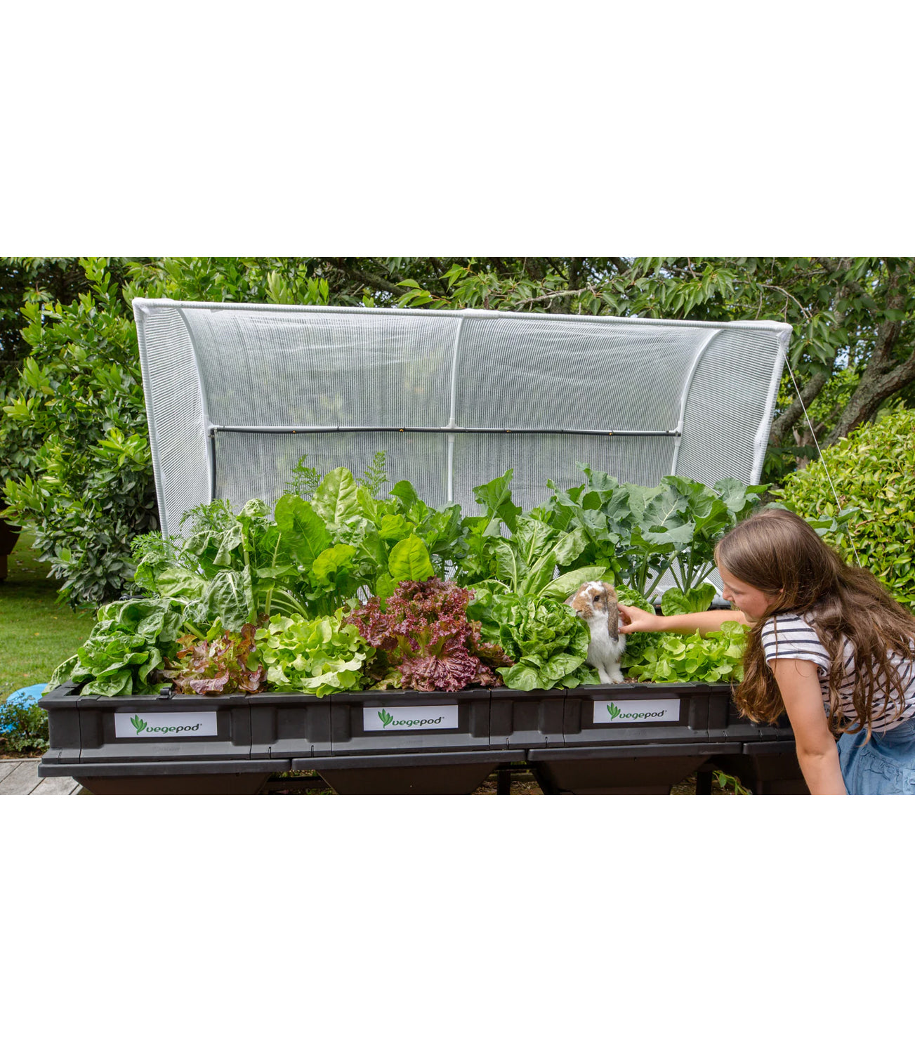 Vegepod Vegepod Raised Garden Bed with VegeCover Large 2m x 1m