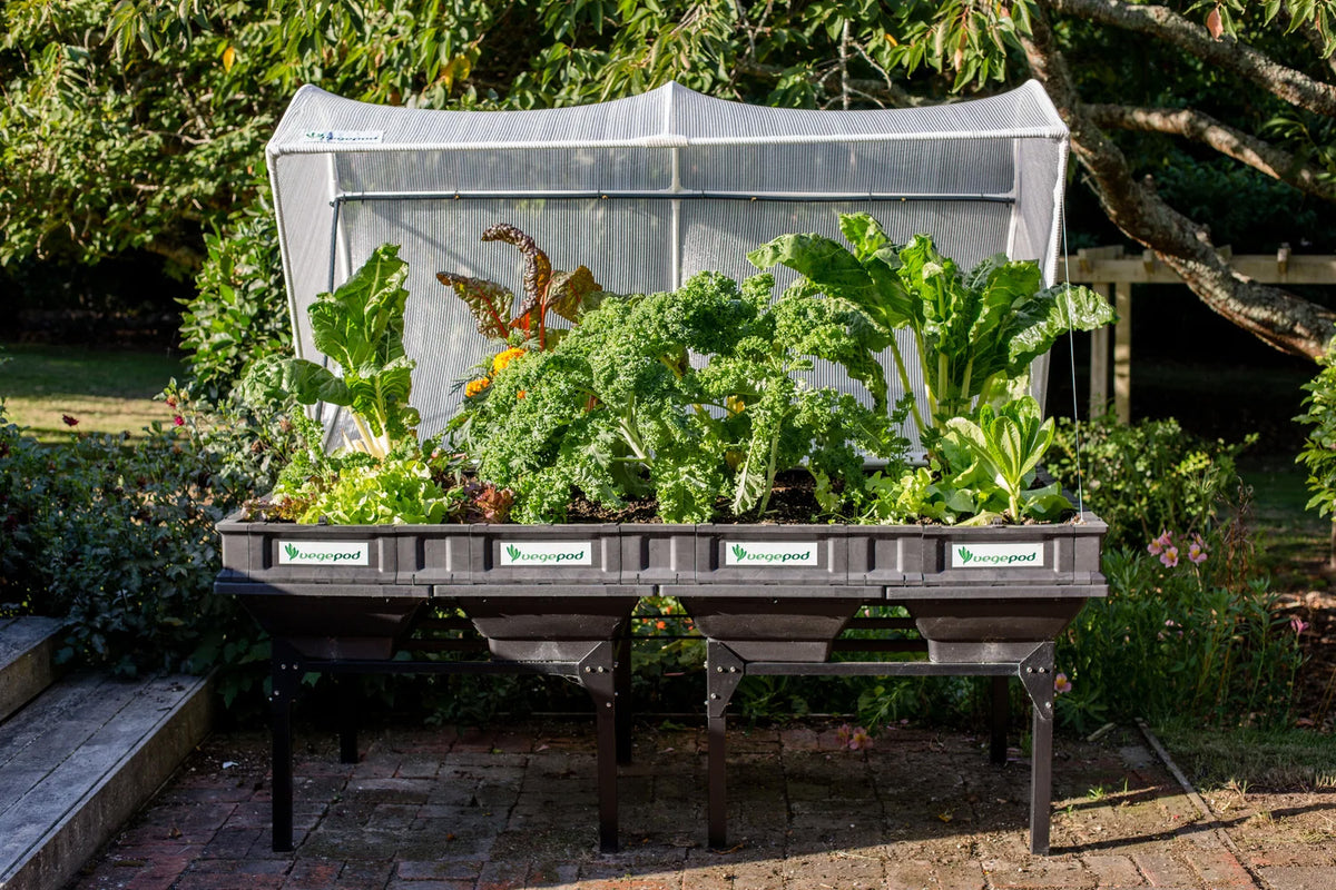 Vegepod Raised Garden Bed Stand Large