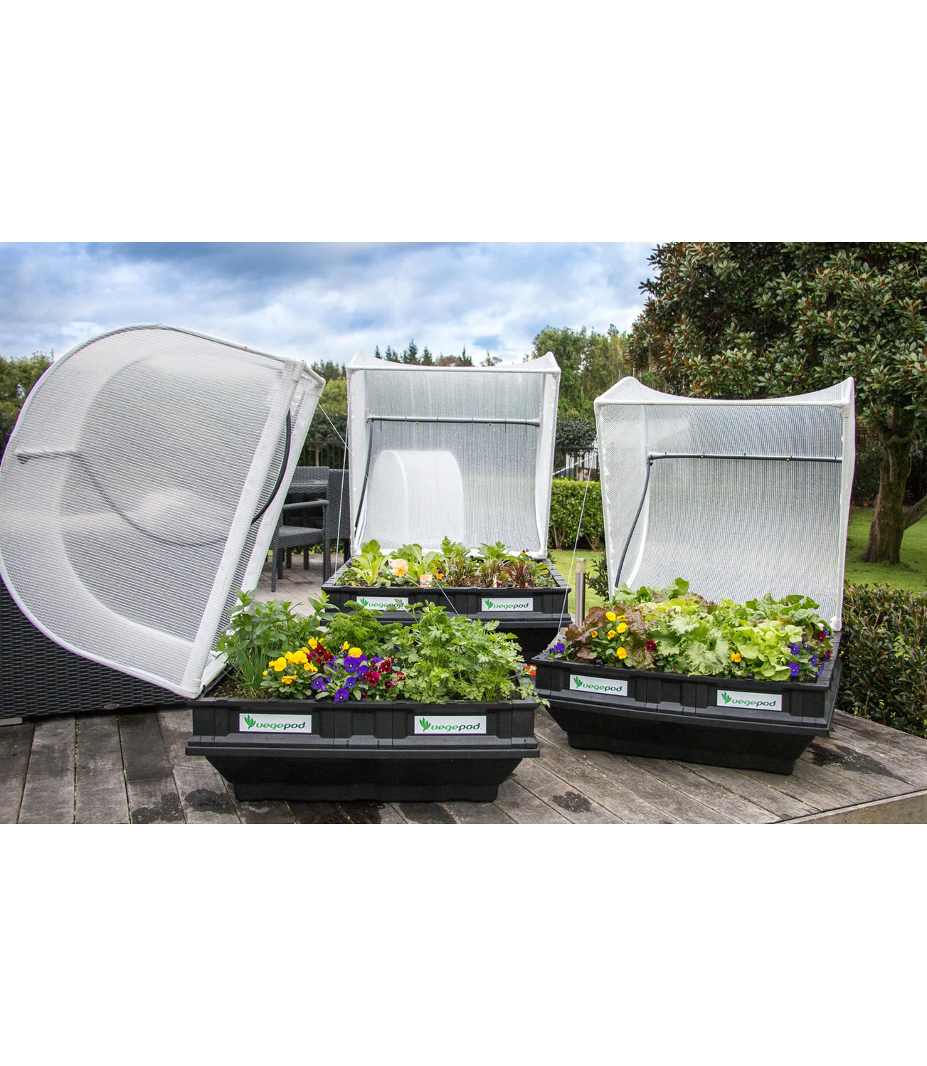 Vegepod Raised Garden Bed with VegeCover Medium 1m x 1m