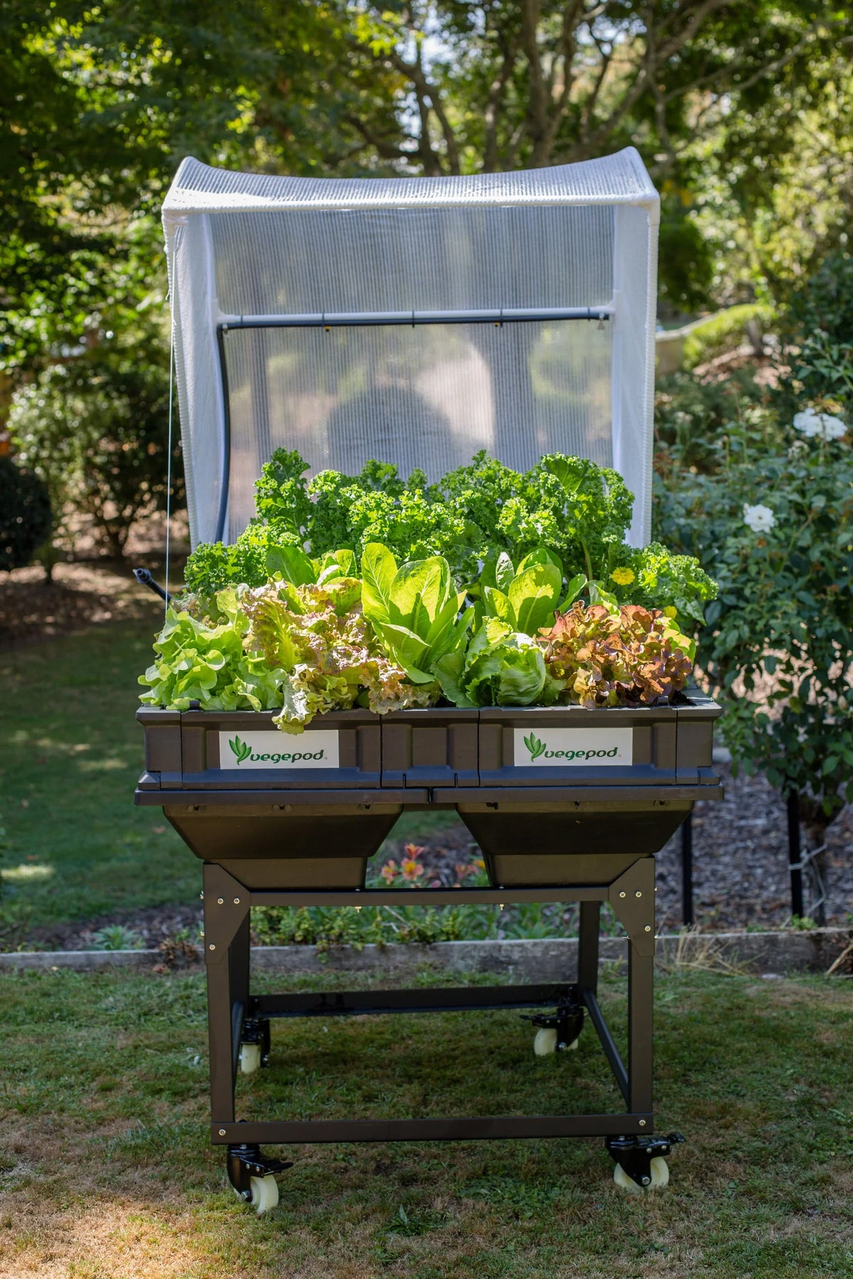 Vegepod Raised Garden Bed Trolley Stand Medium