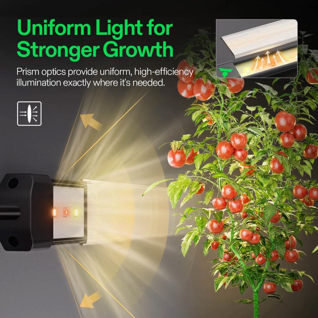 Vivosun Lumaray Side Lights 4 Bar Full Spectrum LED