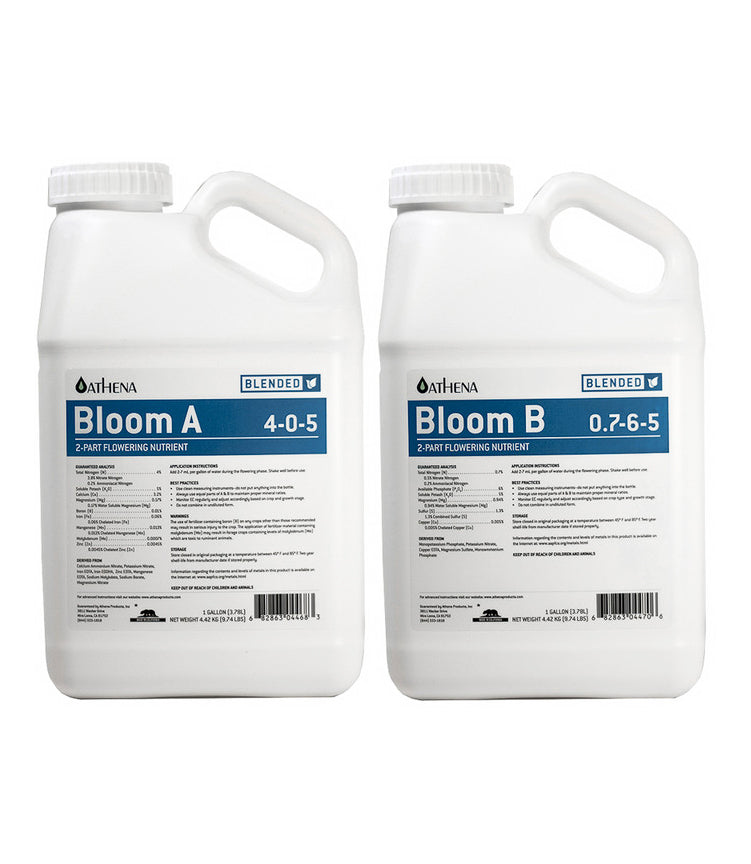 Athena Blended Bloom A & B