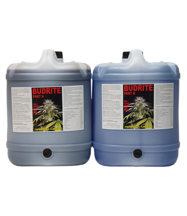 Budrite A & B
