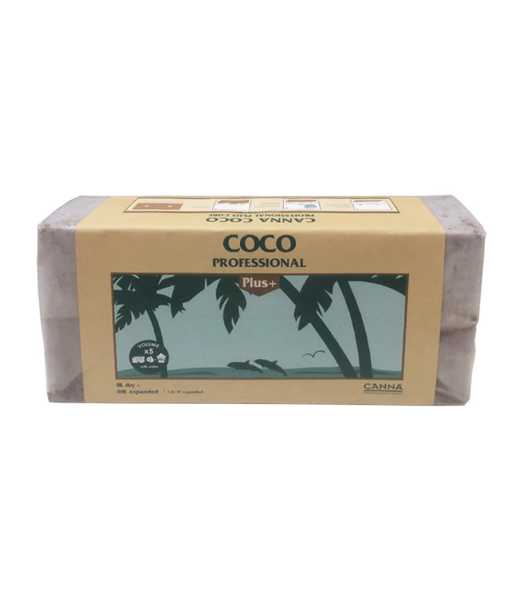 Canna Coco Professional Plus+ Cube