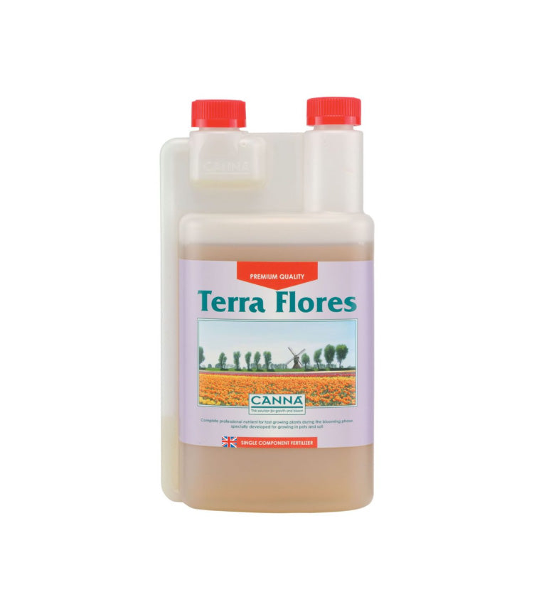 Canna Terra Flores