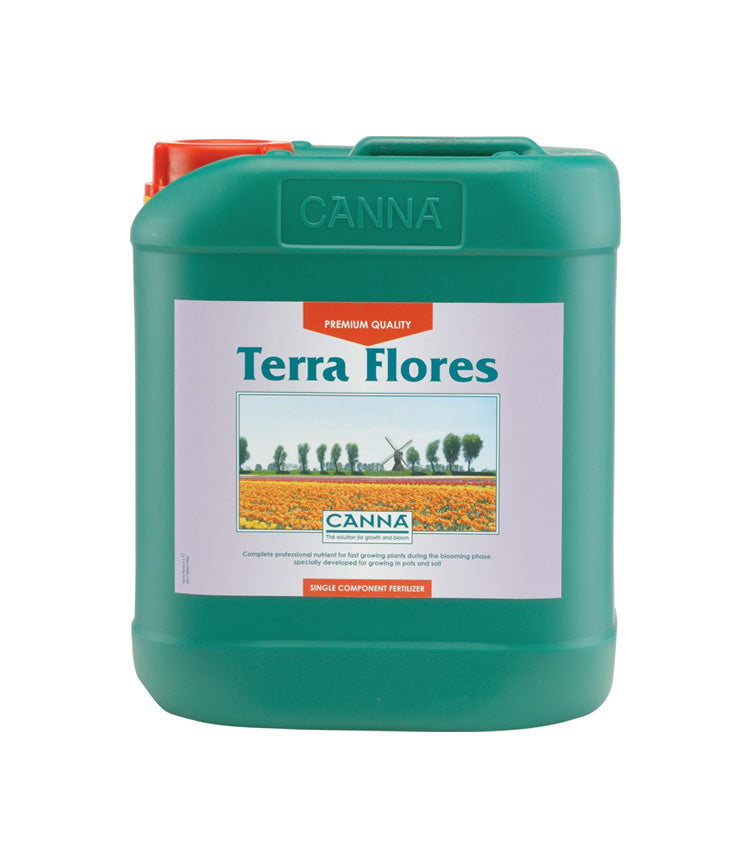 Canna Terra Flores