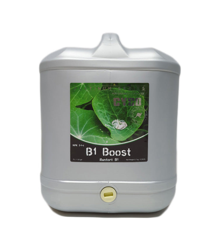 Cyco B1 Boost