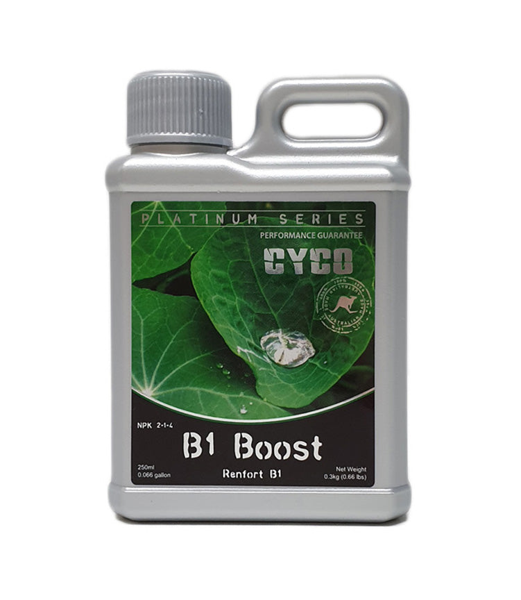 Cyco B1 Boost