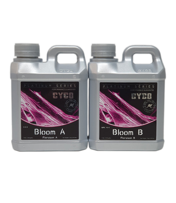 Cyco Bloom A & B