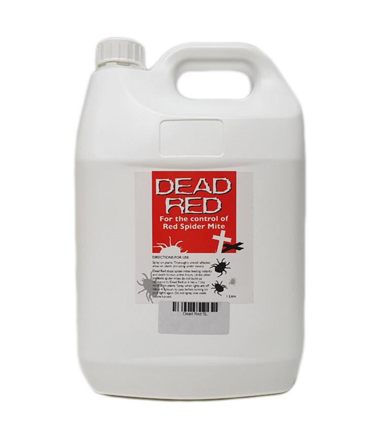Dead Red`