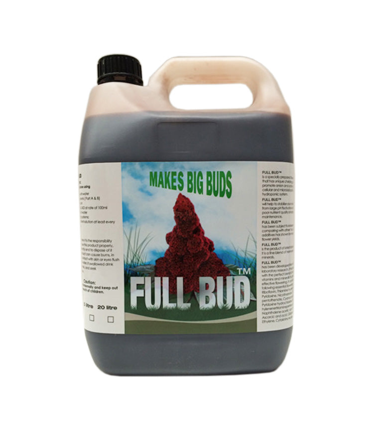 Full Bud