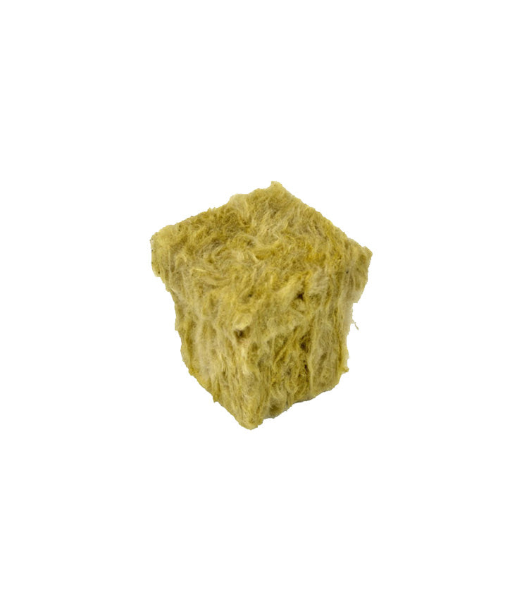 Grodan SBS Plug 36/36 Tray of 77