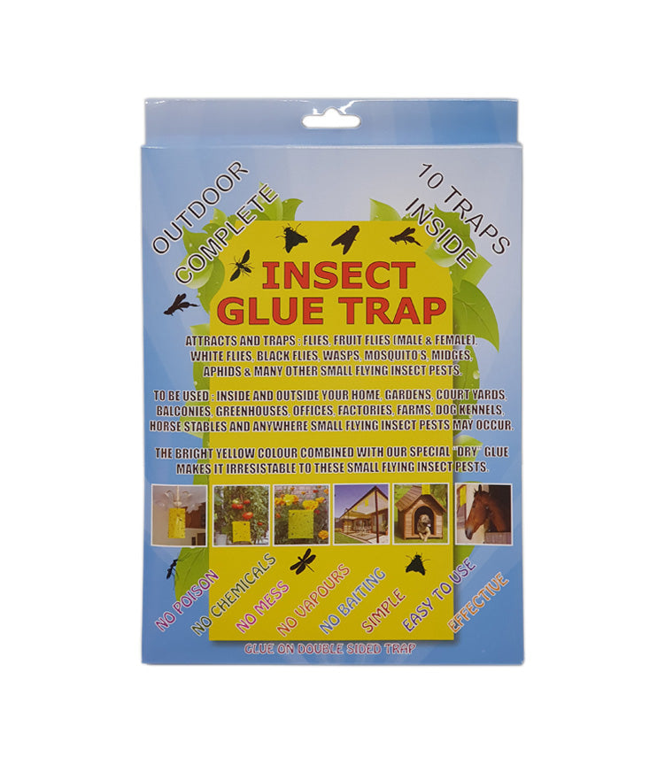 Insect Glue Trap 10 Pack (Sticky Fly Trap)