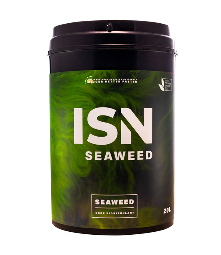 ISN Seaweed