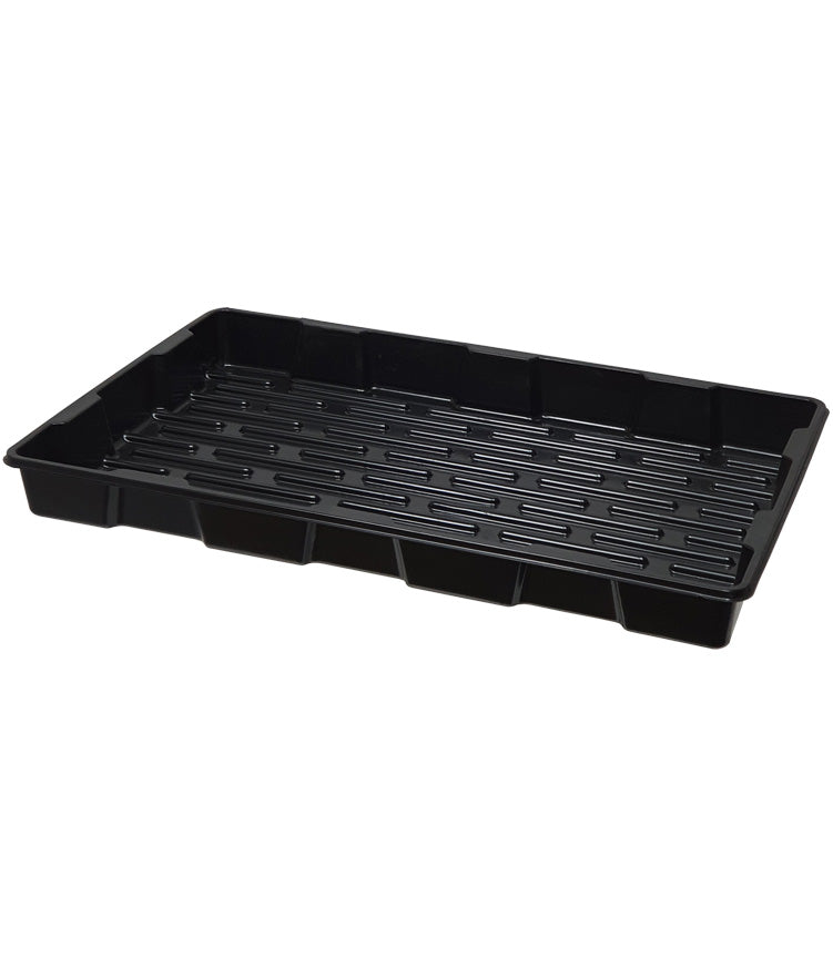 Jumbo Clone Propagator Kit