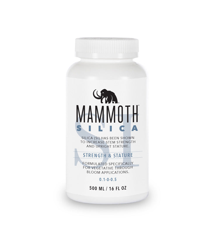 Mammoth Silica