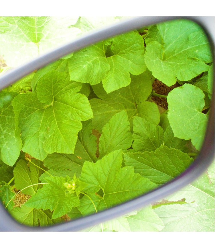 Method Seven Agent 939 FX Growroom Glasses