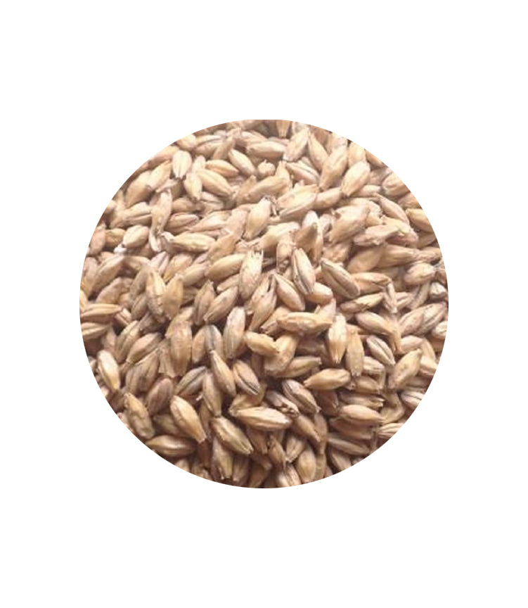 OGS Malted Barley Grain 1Kg