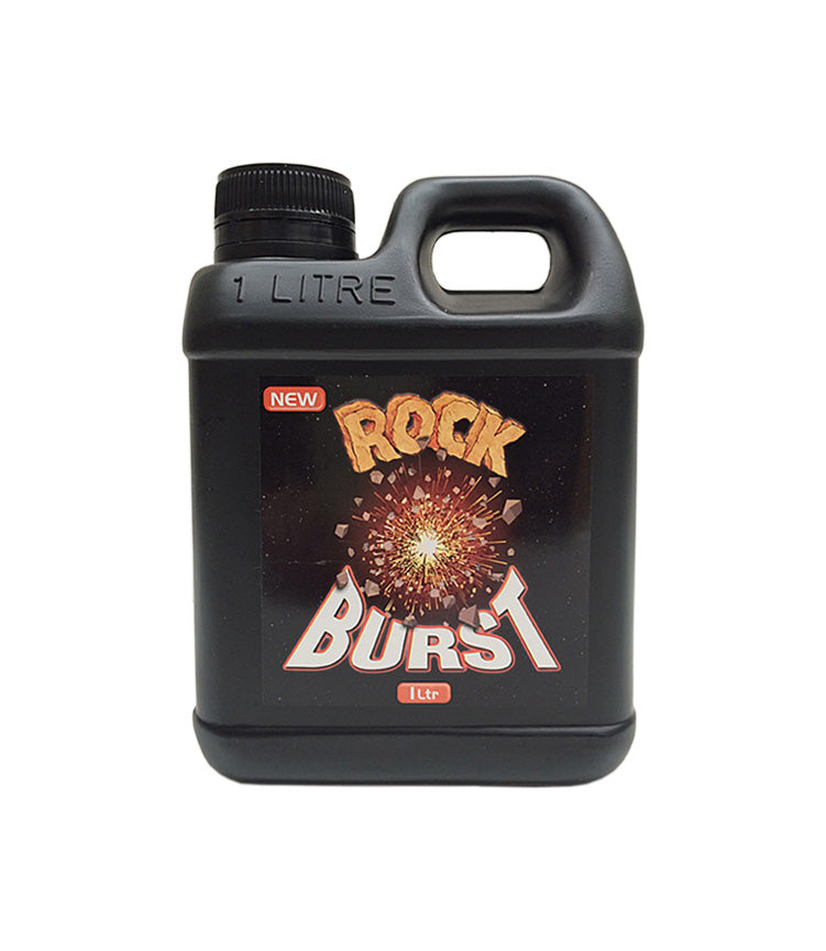 Rock abso