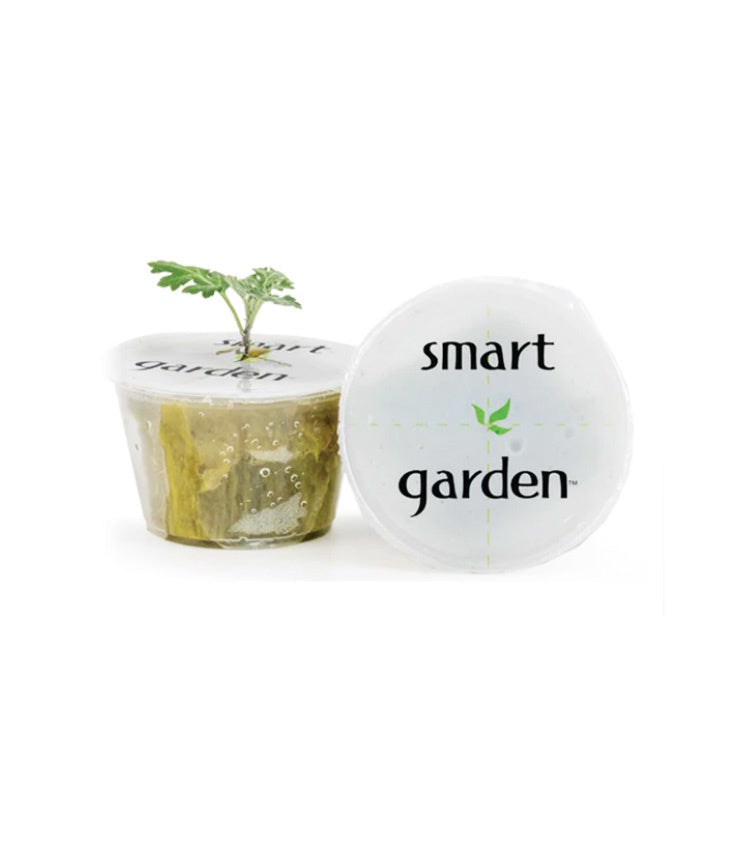Smart Garden Propagation Clone Cup