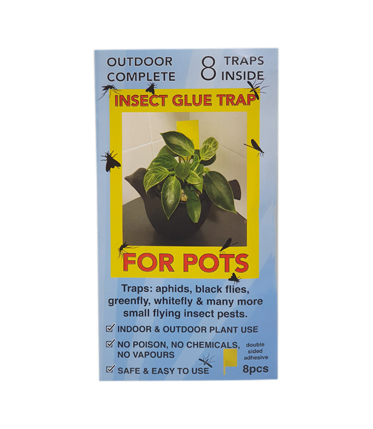 Indoor Insect Glue Trap For Pots 8pk