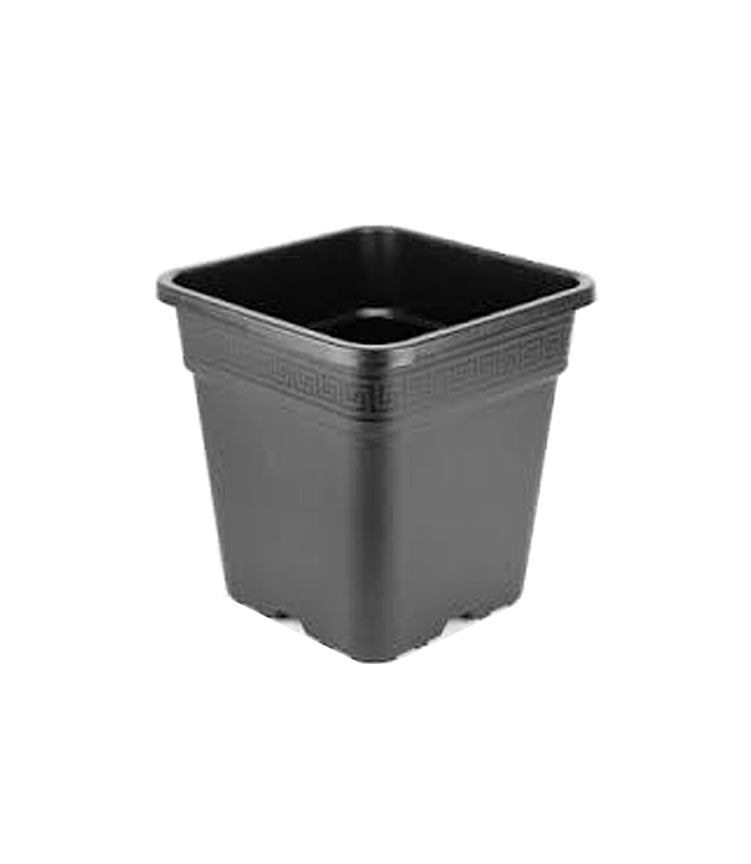 Wilma 18L Square Pot